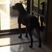 Tracy Alvey - Facebook
