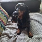 Tracy Anders - @tracyanders70 - Instagram