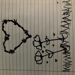 Shaun Tracy Andrus - @crypticgeodash - Instagram