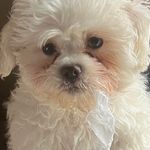 Tracy Andrus Griggs - @tracy.griggs425 - Instagram