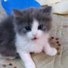 Tracy N Russell - @tracyandrussell247 - TikTok