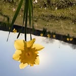 Tracy Apple - @appledreams2005 - Instagram