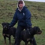 Tracy Appleby - @tracyappleby64 - Instagram