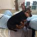 Tracey Araujo - Facebook