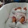 Tracy Araujo - @tracy_012 - TikTok