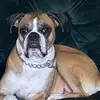 Tracey Arsenault - @tracey.arsenault - TikTok