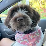 Tracy Arsenault - @arsenault1123 - Instagram