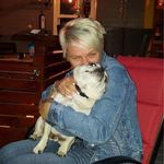 Tracy Arsenault - @traceme9 - Instagram