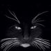 Tracy Bazemore Ashcraft - Facebook