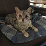 Tracy Aubin - @taaubin - Instagram