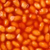Silas the baked bean - @tracyayala204 - TikTok