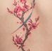 Traci Babin - Facebook