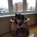 Tracy-Ann Babin - Facebook