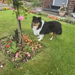tracy back - @tracyback527 - Instagram