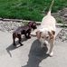 Tracy Bailey - Facebook