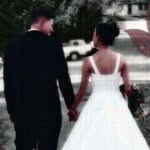 Tracy Lamke Barger - @tlbarger - Instagram