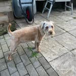 Tracy Barham - @tracy.barham.39 - Instagram