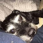 Tracy Bartley - @tracy.bartley - Instagram