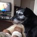 Tracy Bartley - Facebook