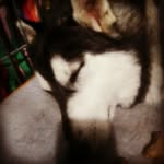 Tracy Bascomb - @tracy.bascomb.1 - Instagram