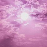 Tracy Bauman - @bauman6746 - Instagram