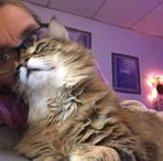 Tracy Bauman - Facebook