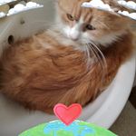 Tracy Baxter - @tracybaxter62 - Instagram