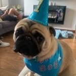 Tracy Baxter - @tracymbaxter - Instagram