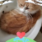 Tracy Baxter - Facebook