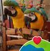 Tracy Beard - Facebook