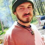 Tracy Beard - @zengoose - Instagram