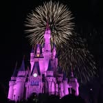 Tracy Beesley, Travel Agent - @tracy_windwavesandwands - Instagram