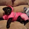 Tracey Lynn Belanger - @bigmama2430 - TikTok