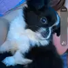 Tracy Bennett - @tracy.bennett24 - TikTok