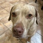 Tracy Berger - @tracybergerdev - Instagram