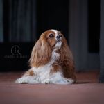 Tracy Bergeron - @tracy.bergeron66 - Instagram