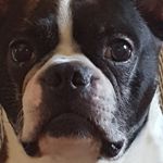 Tracy Lee Bergermann - @tracy_bergermann - Instagram