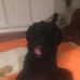 Tracy Bergeron - Facebook