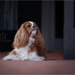 Tracy Bergeron - @tracy.bergeron66 - Instagram