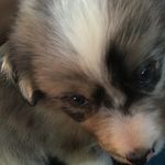 Trace Berryman - @traceberryman123 - Instagram
