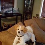 Tracey Berryman - @tracey.berryman - Instagram