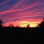 Tracy Bertsch - @tb05853 - Instagram