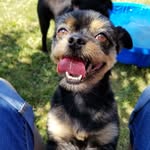 Tracy Bertsch - @tlbert - Instagram