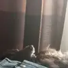 Tracy Berzley - @tracy.berzley - TikTok