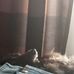 Tracy Berzley - Facebook