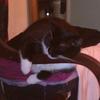 Tracey Biddle - @tracey.biddle - TikTok