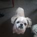 Tracy Biddle - Facebook