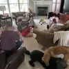 Tracy Bills - @tracy.bills6 - TikTok