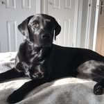 Tracy Bills - @tracybills63 - Instagram
