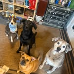 Tracy Biondo - @surfmom708 - Instagram
